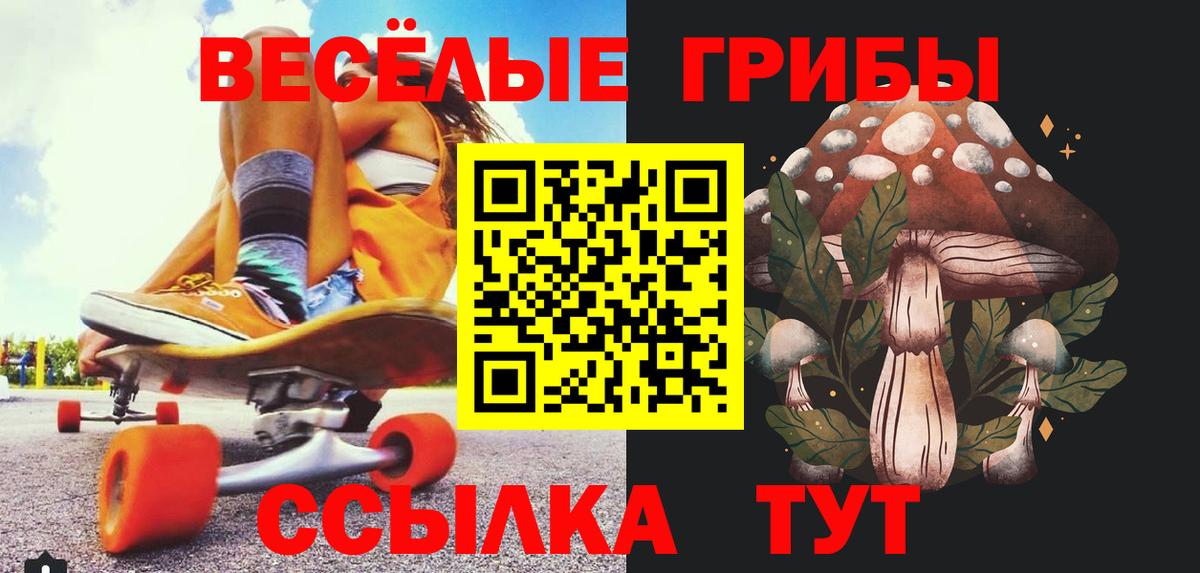Псилоцибиновые грибы мицелий Полевской